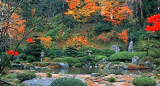 玉川寺紅葉