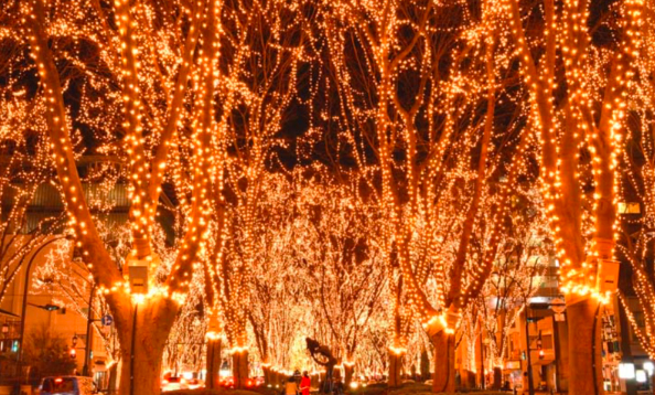 仙台光のページェント